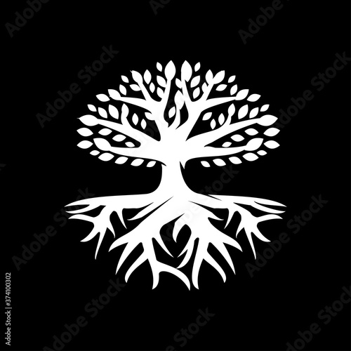 Nature Tree And Root Icons Vector  Logo Icons  Tree Icons  Template Icons with Transparent Background.
