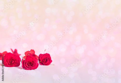 Delicate red roses on a pink bokeh background with copy space.