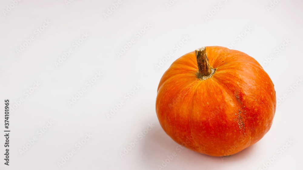 Pumpkin isolated on a white background. Autumn concept. Pumpkin isolated on a white background. Autumn concept.