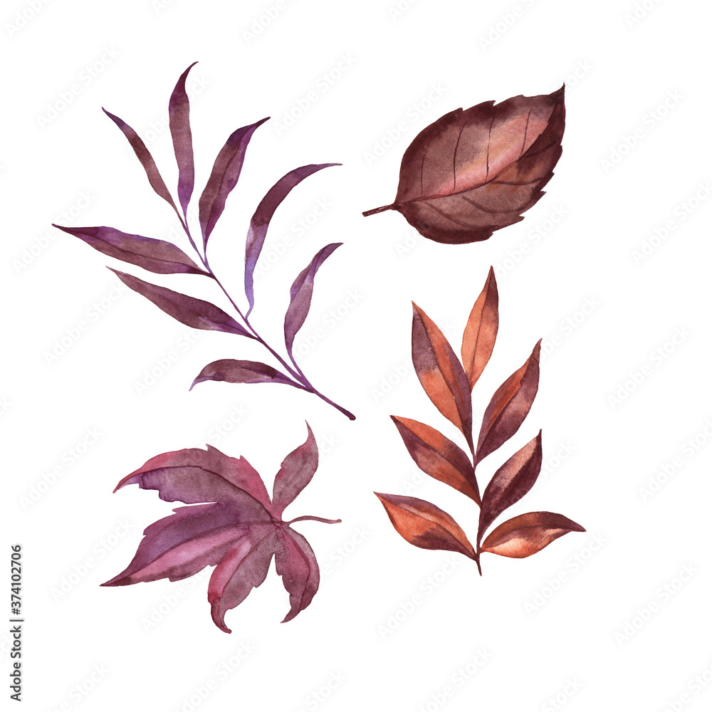 Set of brown and purple autumn leaves. Hand drawn watercolor illustration. Set of brown and purple autumn leaves. Hand drawn watercolor illustration.