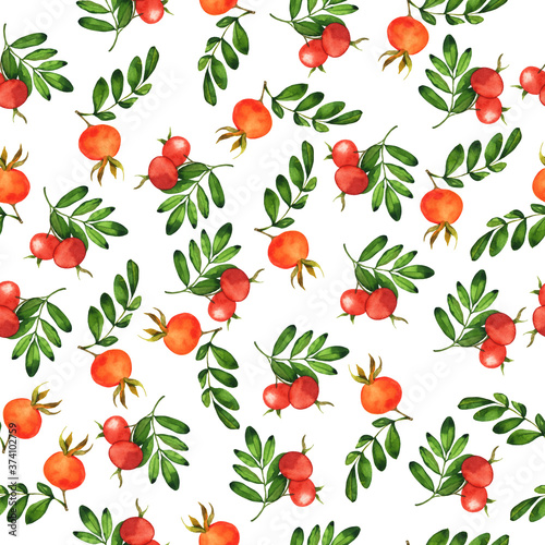 Seamless pattern with autumn wild rose berries leaves on white background. Hand drawn watercolor illustration.