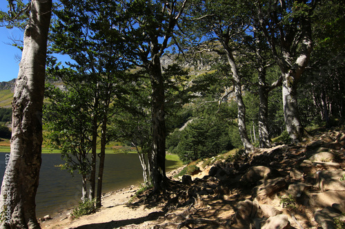 Fototapeta Naklejka Na Ścianę i Meble -  Paesaggio estivo di montagna nell’Appennino modenese; veduta tra sentieri, boschi di faggio, rocce e un piccolo lago