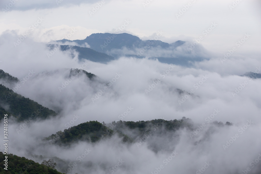 Sea of fog flowing cover mountain and green forest on the morning.