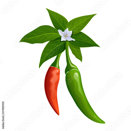 Thai paprika red and green fresh with leaves realistic design, isolated on white background, Eps 10 vector illustration