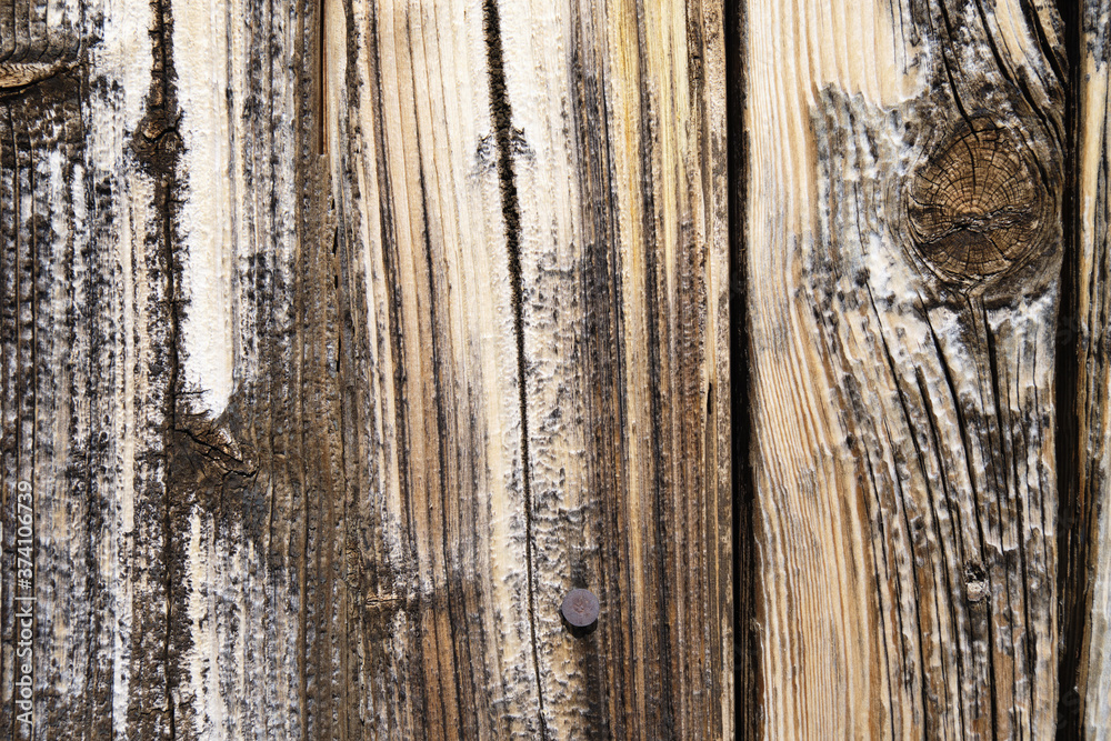 Obraz premium worn wooden plank panel with knots, brown wood texture background