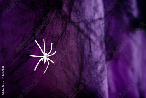white spider on a black web on a purple background