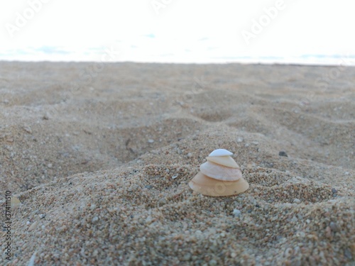 Photography Verano