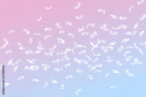 Beautiful Abstract, Freedom. Group of light fluffy a white feathers floating in the air. Pink and blue gradient background.