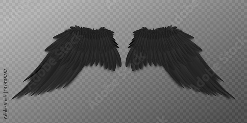 Black bird or dark agel wings with realistic feathers from back view