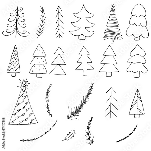 set of trees and fir branches, simple childrens drawings, cute winter doodles, coloring book, vector set of elements in doodle style