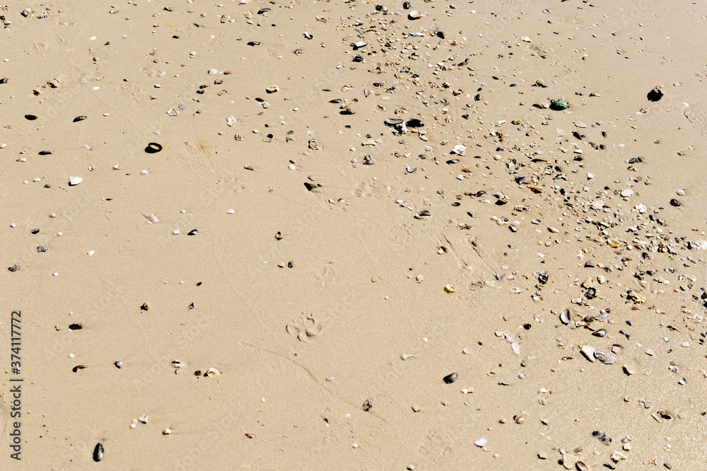 Beach Sand texture. Sandy sea for background. Beach Sand texture. Sandy sea for background.