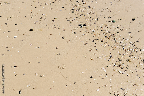 Beach Sand texture. Sandy sea for background.
