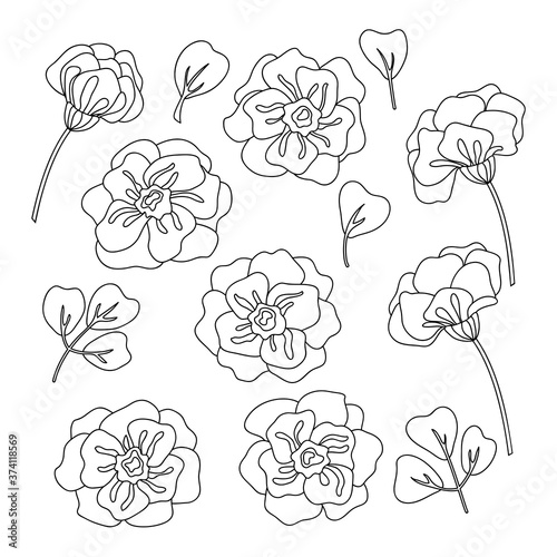 floral poppy rose leaf set outline illustration for your design