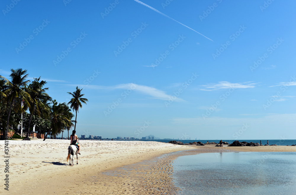 Horse walk on the beach.Tropical summer Hua Hin beach background Thailand Horse walk on the beach.Tropical summer Hua Hin beach background Thailand