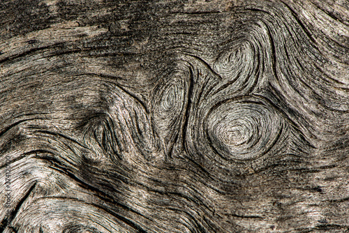 Old tree trunk, abstract background photo
