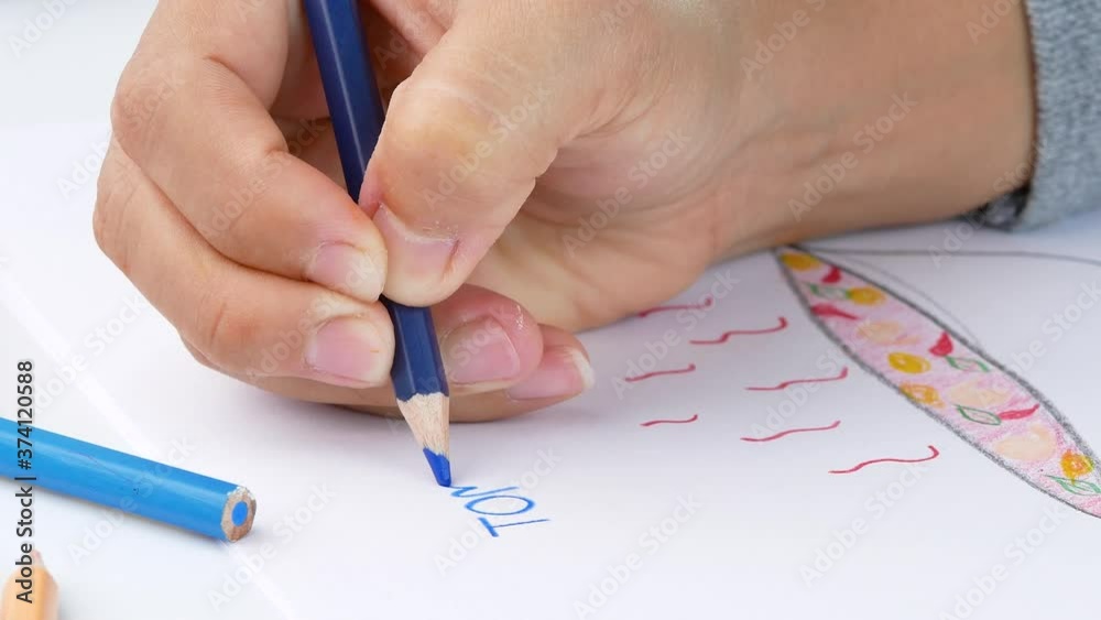 Close-up of a hand painted with color pencil, depiction of a Thai food (Tom Yum Goong) on white paper.