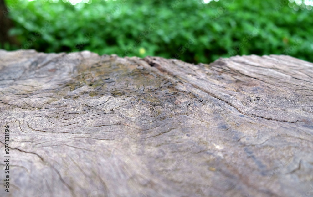 Empty wood table top on blur abstract green from garden in morning background. can be used for display or montage your products Empty wood table top on blur abstract green from garden in morning background. can be used for display or montage your products