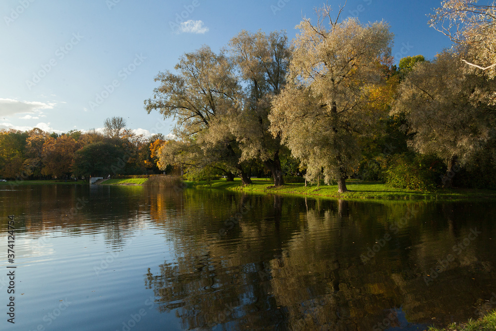 Fototapeta premium Autumn park landscape with bright trees