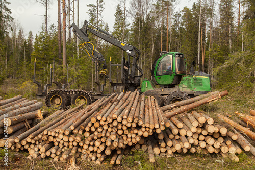 An industrial harvester collects logs from a felling in a pine forest