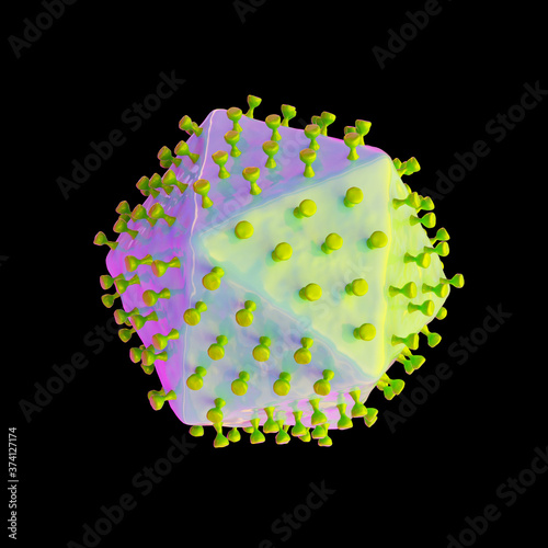 African swine fever virus photo