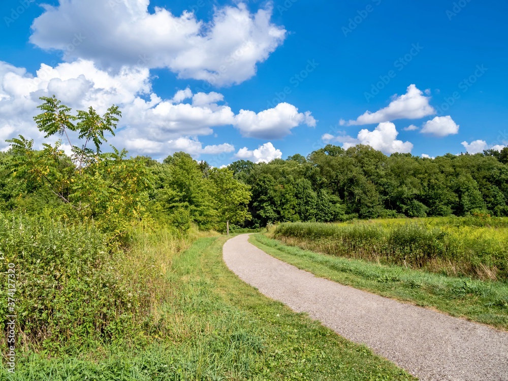 A path leading through a Metro Park in Monroe Falls, Ohio on a bright summer day with green trees along the path and a bright blue cloud filled sky in the background.