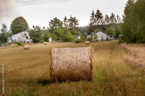 Countryside