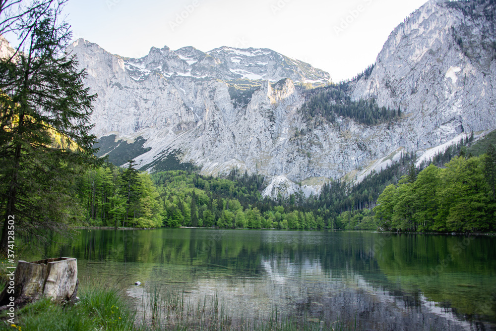 lake in the mountains with tree trunk