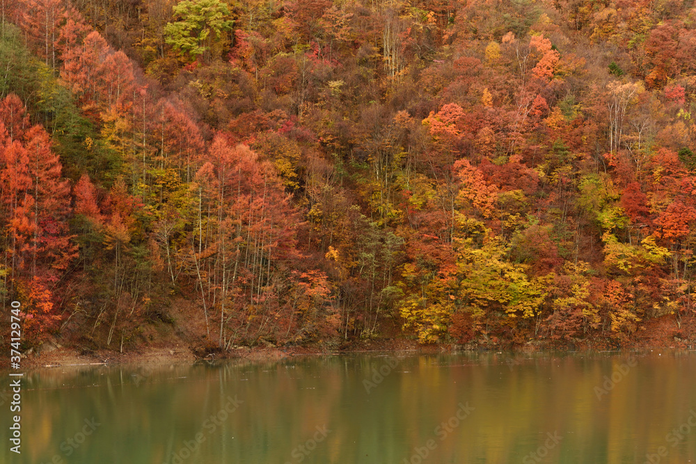 広瀬湖の紅葉 広瀬湖の紅葉