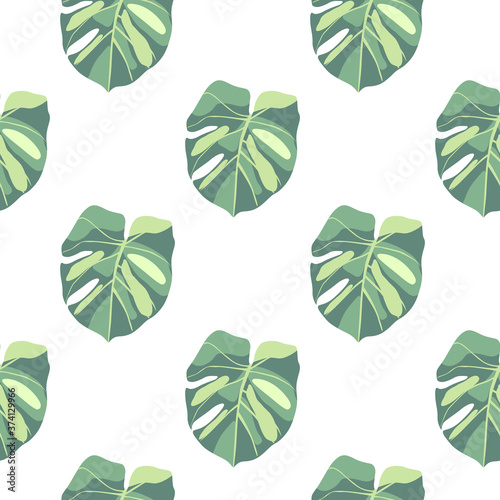 Isolated exotic seamless doodle pattern with green monstera leafs. White background. Simple design.