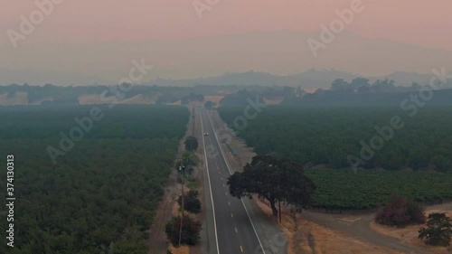 Winters, California, USA. 22 August 2020.  Orchid and smoke from wildfires. LNU Lightning Complex Fire that ravaged the Napa, Sonoma, Lake and Solano counties. photo