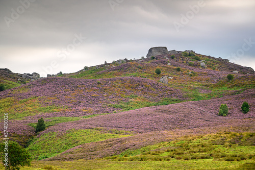 Drake Stone on Harbottle Hills, the hills and crags are a nature reserve above the village of Harbottle, seen here covered in summer heather, located within Northumberland National Park photo