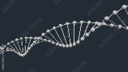 DNA 二重らせん 3Dアニメーション
