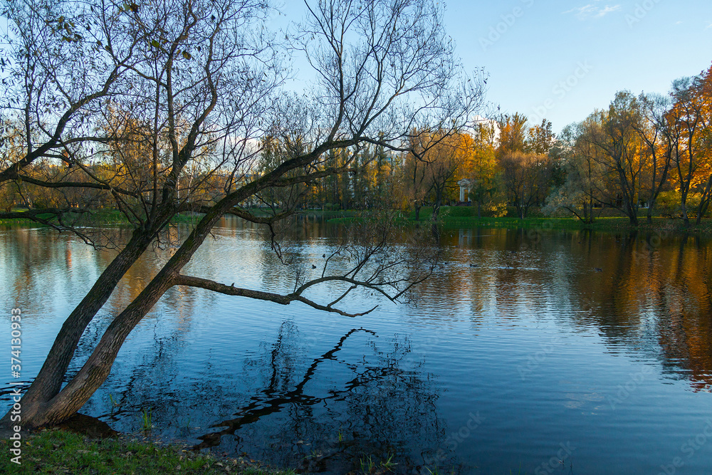 Obraz premium Small lake in autumn park