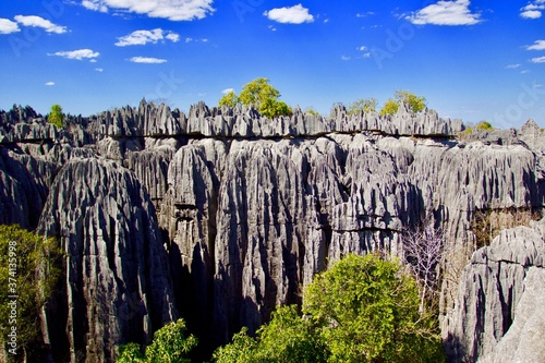 Panoramic view of particular rocks formations and pinnacles of Tsingy de Bemaraha National park in Madagascar photo