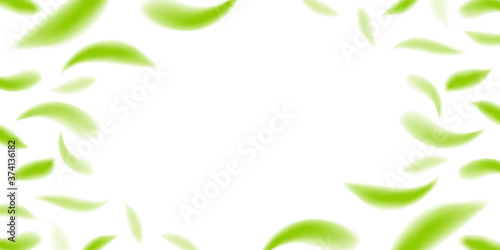 blur fallen leaves green fresh  leaf fall for natural banner background  flying leaf on white  copy space