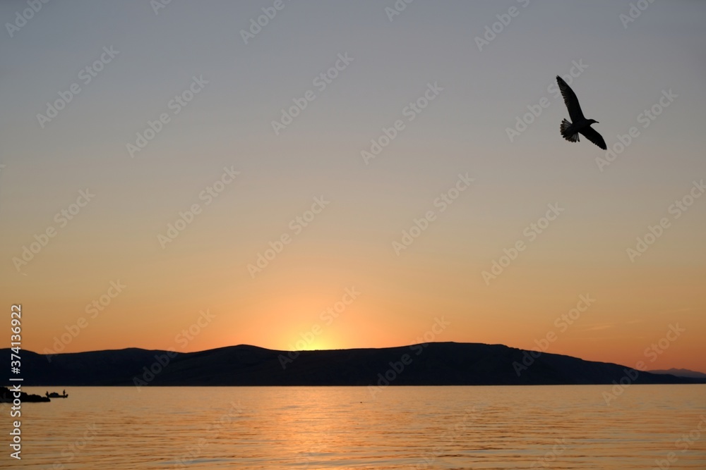 Idyllic landscape with boat on sea at sunset. Flying bird on sky.