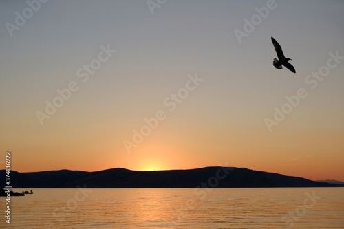 Idyllic landscape with boat on sea at sunset. Flying bird on sky. © Iwona