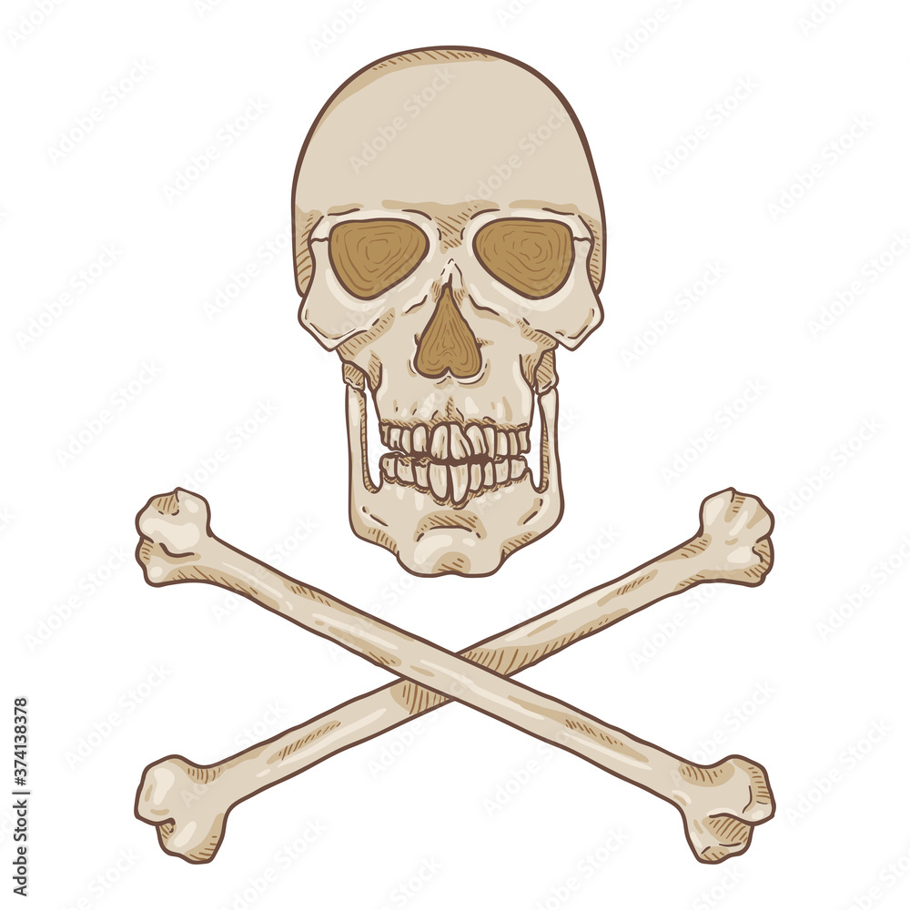 Vector Cartoon Skull and Crossbones Illustration. Vector Cartoon Skull and Crossbones Illustration.