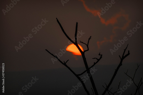 Ramas de un árbol seco con el sol rojo y el atardecer de fondo