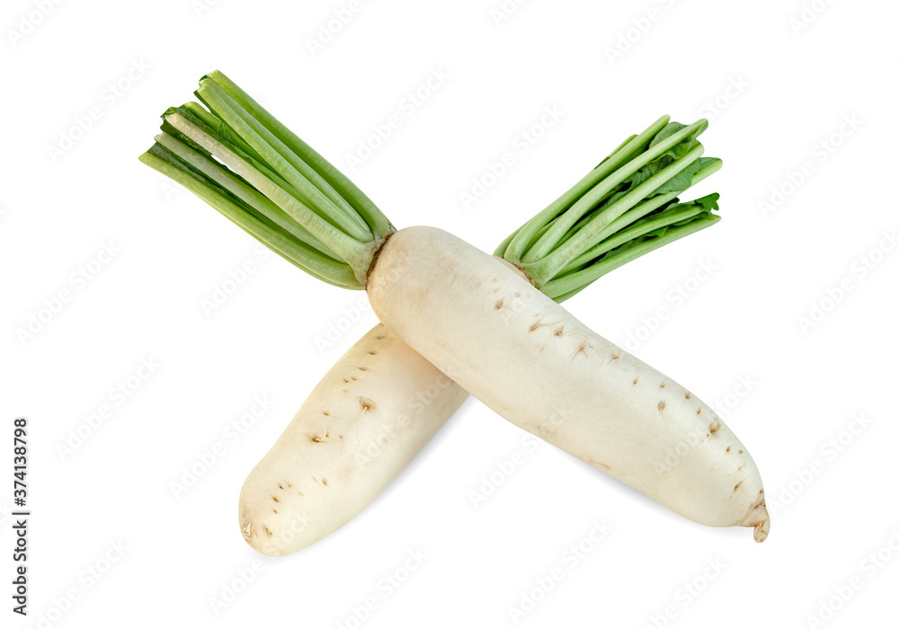 Radish isolated on white background ,include clipping path Radish isolated on white background ,include clipping path