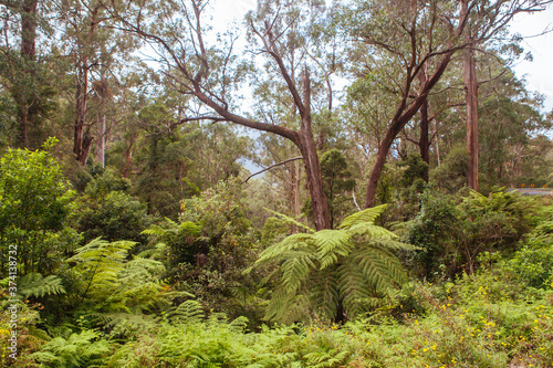 Fred Piper Memorial Lookout Australia