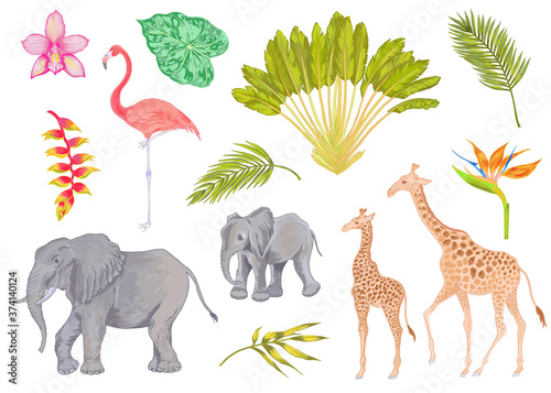 Vector cute realistic illustration of elephant, flamingo and giraffe with flowers, trees and leaves