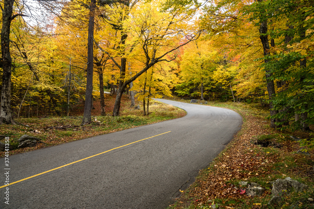 Steep mountain road through a deciduous forest at the peak of fall foliage colours. Mount Washington, NH, USA.