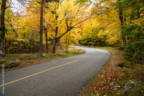 Steep mountain road through a deciduous forest at the peak of fall foliage colours. Mount Washington, NH, USA.