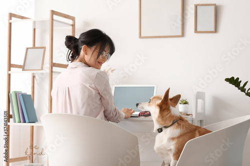 Woman with cute corgi dog working at home