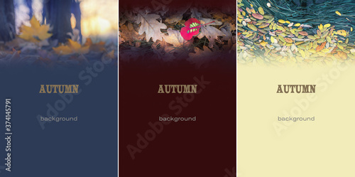 A set of three natural autumn backgrounds with yellow, red and brown leaves. Tinted photos, selective and soft focus. Design of signage, postcards, banners, covers, and menus.