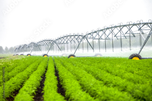Blurred green field landscape with automatical irrigation process.