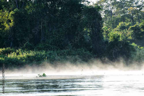 Morgenstimmung im Pantanal © walterbild