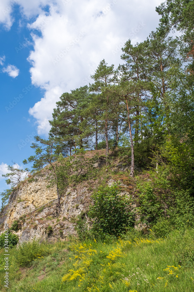 Small rock overgrown with trees in Franconian Switzerland / Germany on a sunny summer day