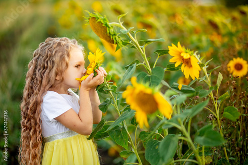 a little beautiful girl holds a sunflower in a field in summer
